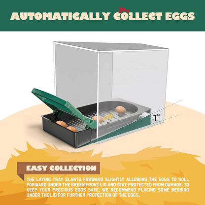 Chicken Nesting Box With 6 nests