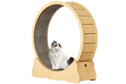 Cat Exercise Wheel Cat Scratcher Board