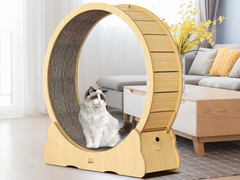 Cat Exercise Wheel