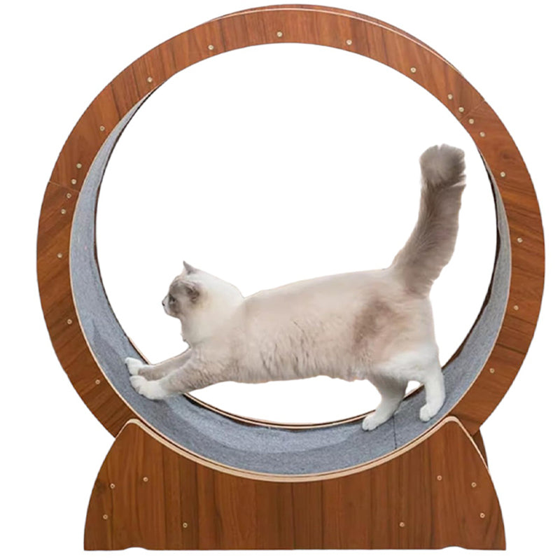 Cat Exercise Wheel