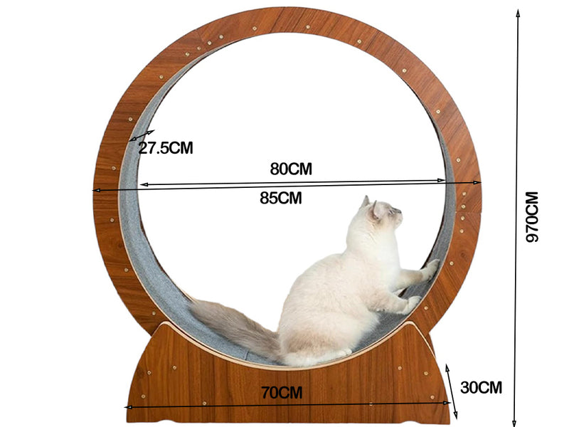 Cat Exercise Wheel