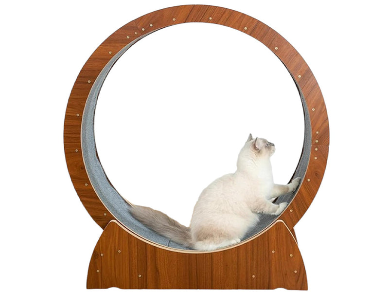 Cat Exercise Wheel