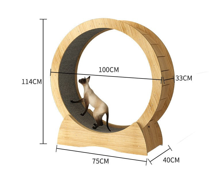 Cat Exercise Wheel