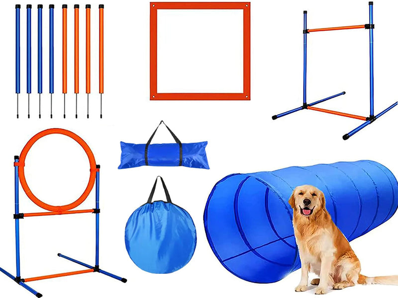 Dog Agility Equipment