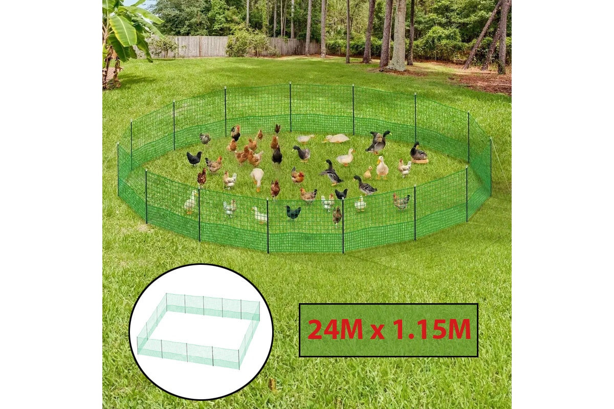Black gate post with latch on chicken fence poultry coop