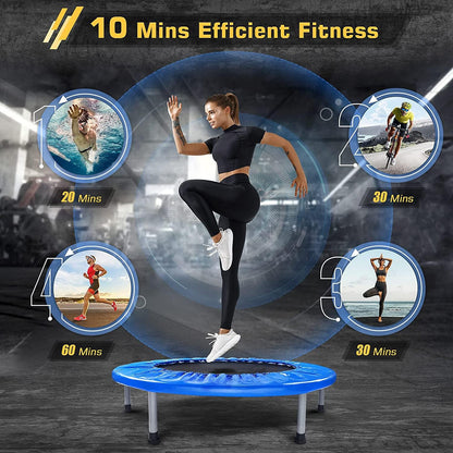 User bouncing on mini trampoline indoors in New Zealand