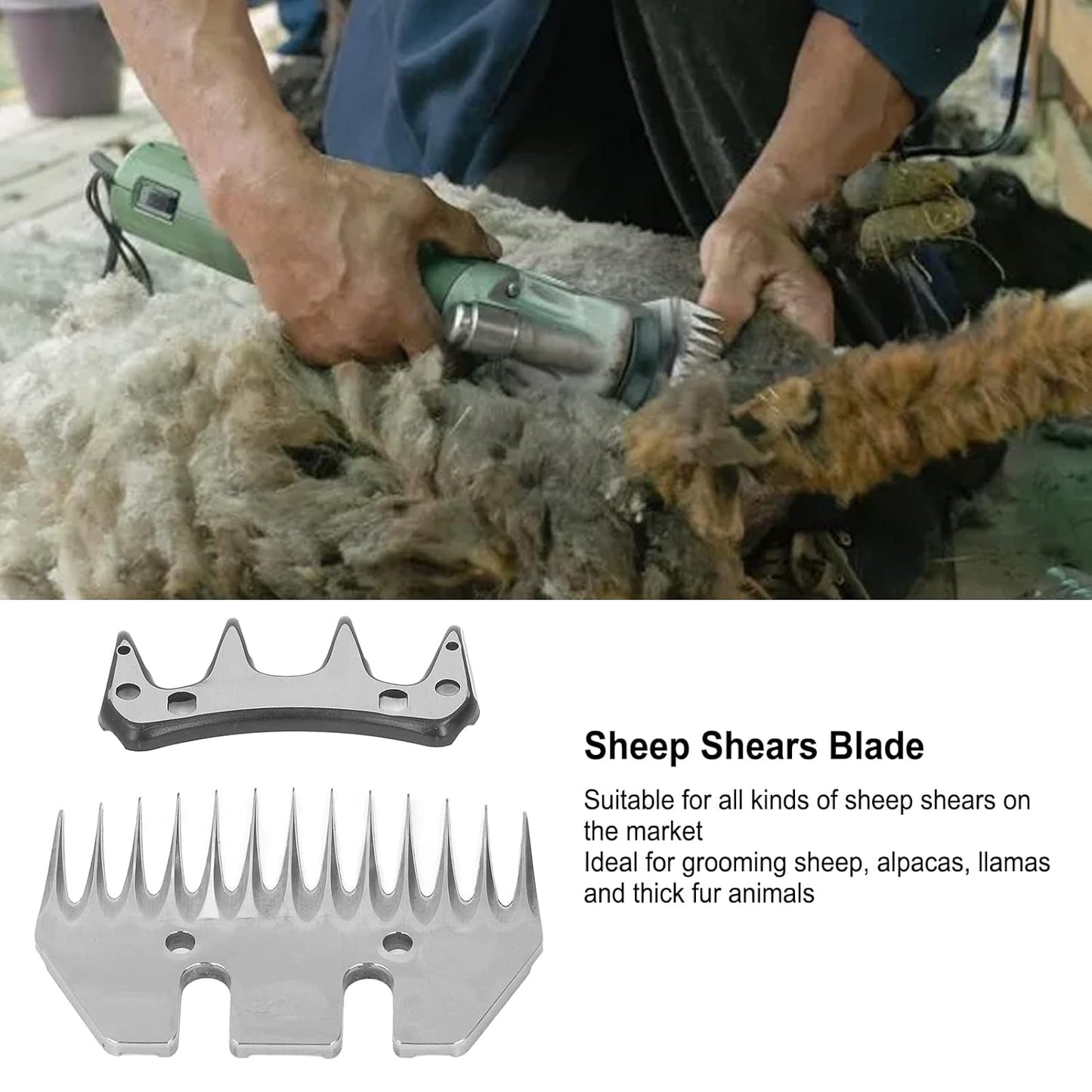 Sheep clipper blade