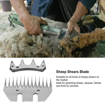 Sheep clipper blade