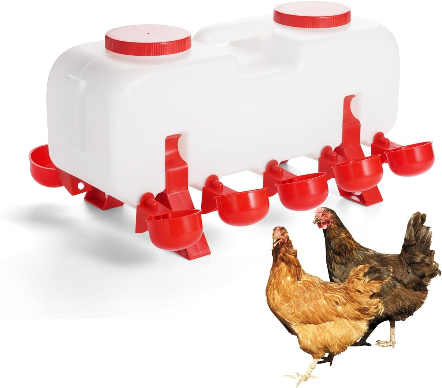 Chicken Water Feeder