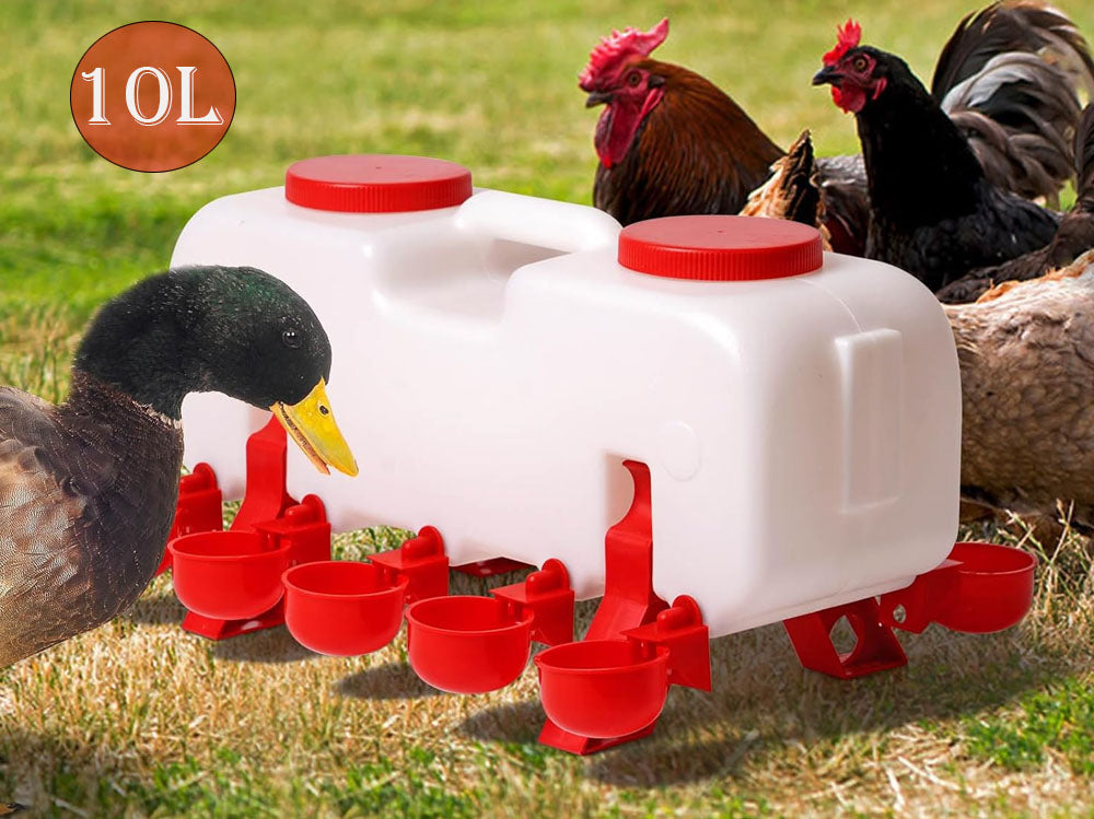 Chicken Water Feeder