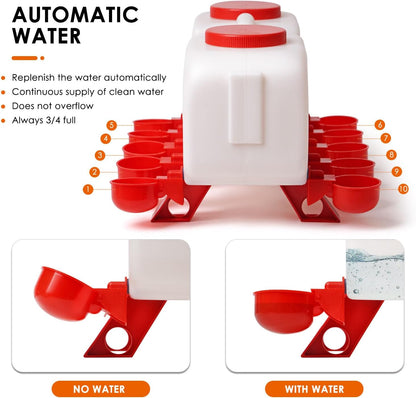Chicken Water Feeder