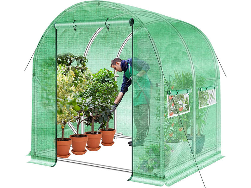 Walk in Greenhouse 2x2x2m