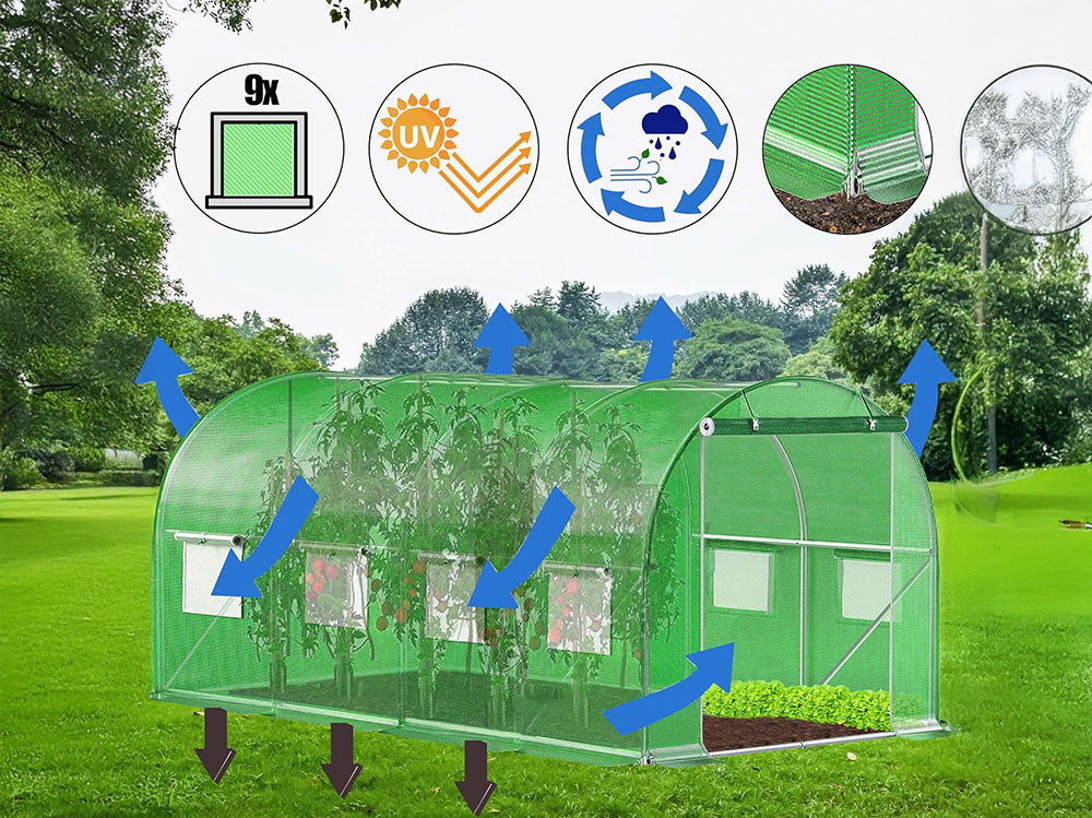 Walk in Greenhouse 4x2x2m