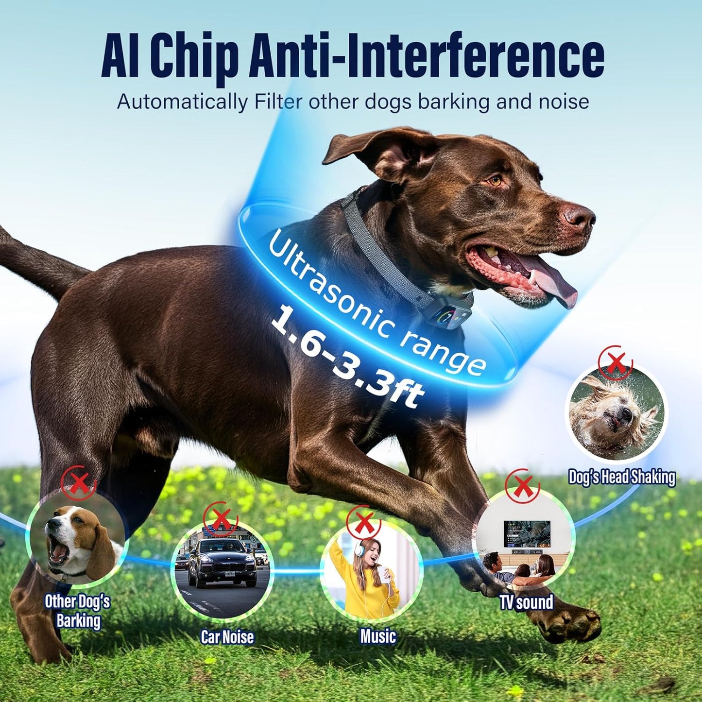 Dog Training Collar Rechargeable