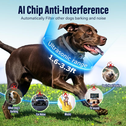 Dog Training Collar Rechargeable