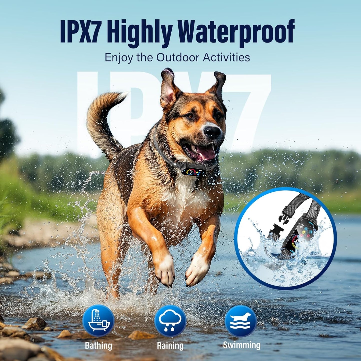 Dog Training Collar Rechargeable