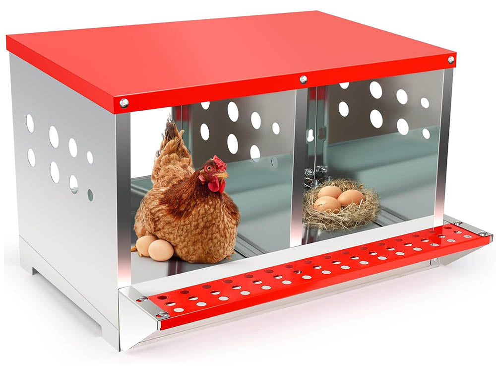 Chicken Nesting Box with 2 Nests