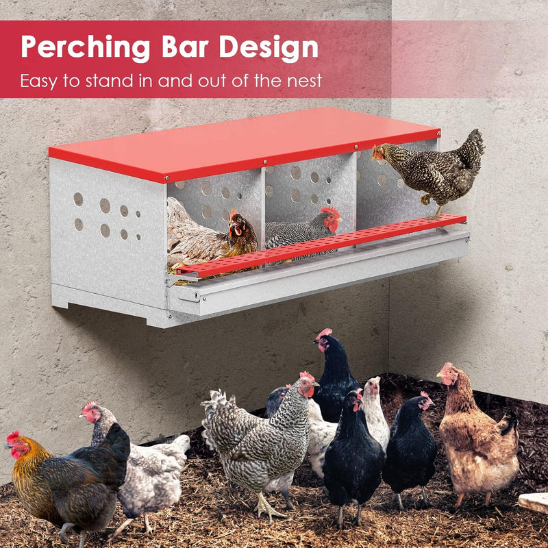 Chicken Nesting Box with 3 Holes