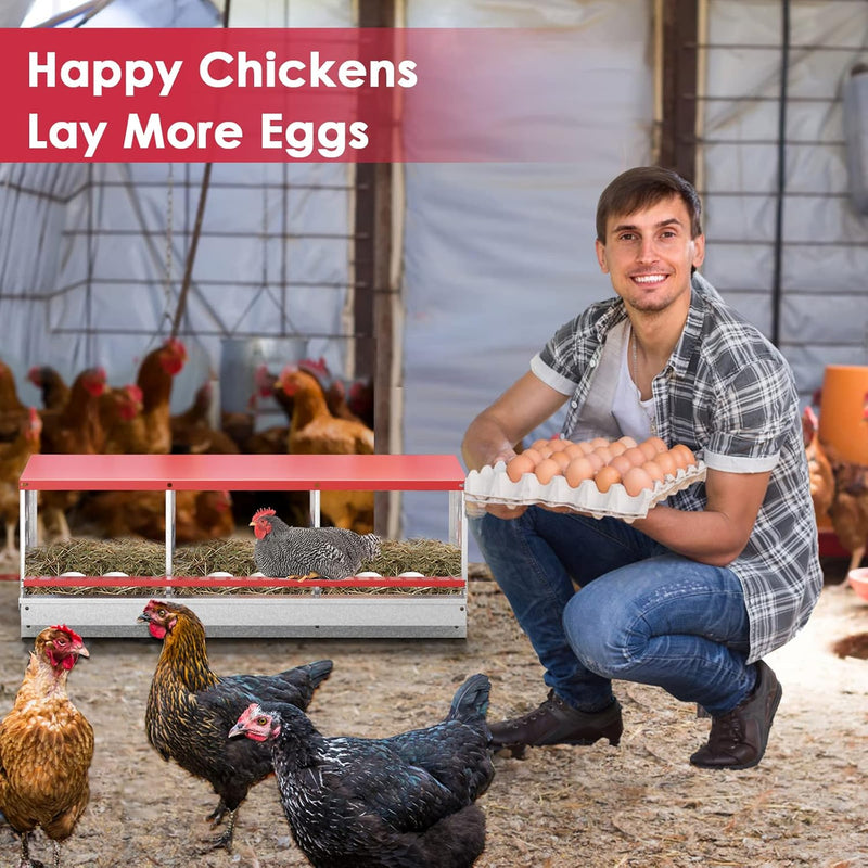 Chicken Nesting Box with 3 Holes