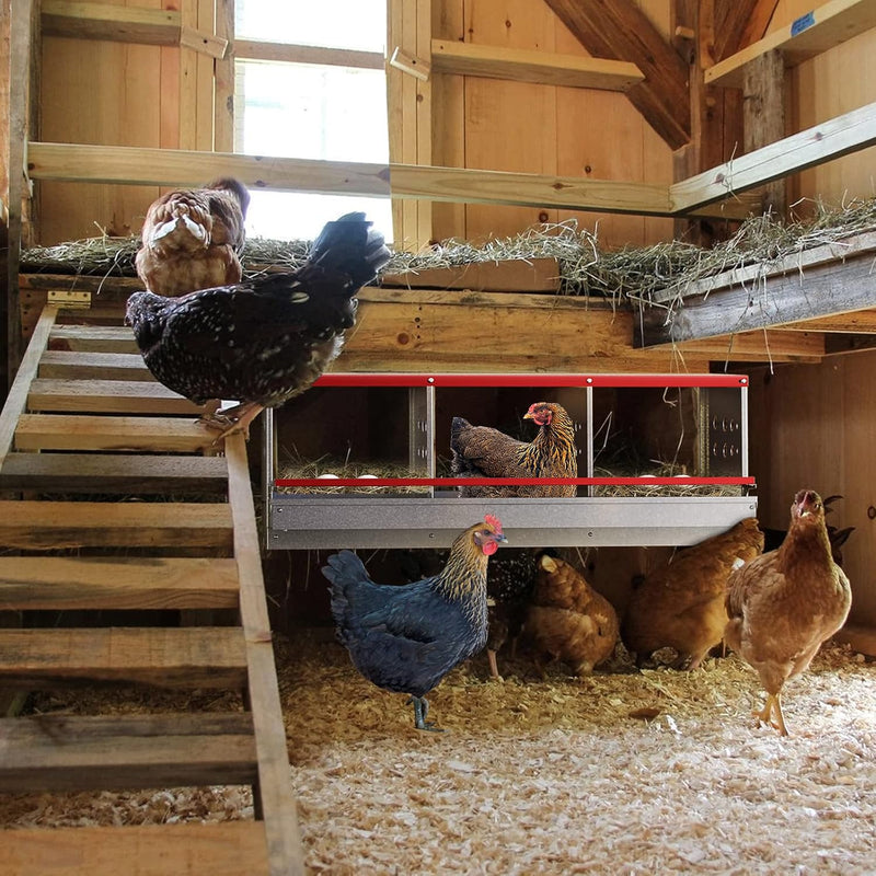 Chicken Nesting Box with 3 Holes