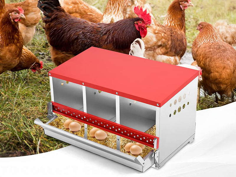 Chicken Nesting Box with 3 Holes