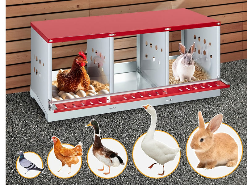 Chicken Nesting Box with 3 Holes