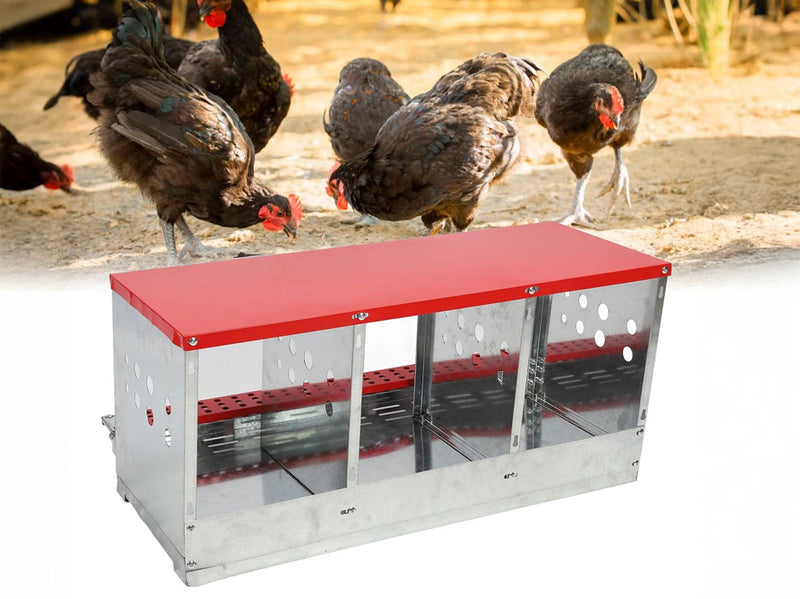 Chicken Nesting Box with 3 Holes