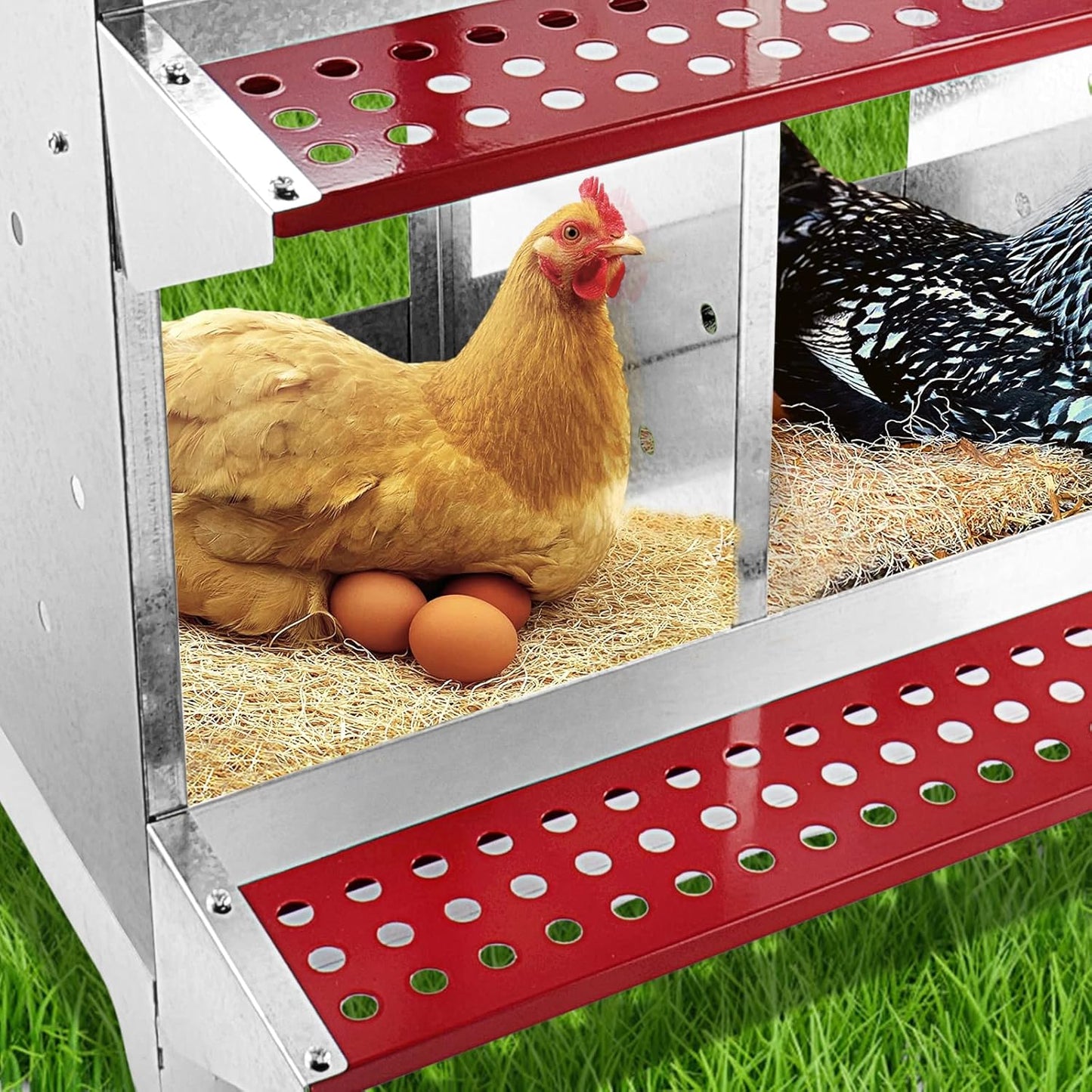 Chicken Nesting Box 4 nests