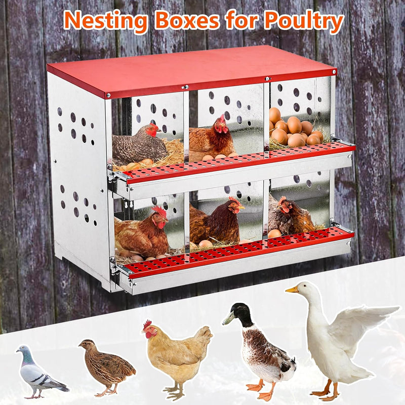 Chicken Nesting Box Egg Perch