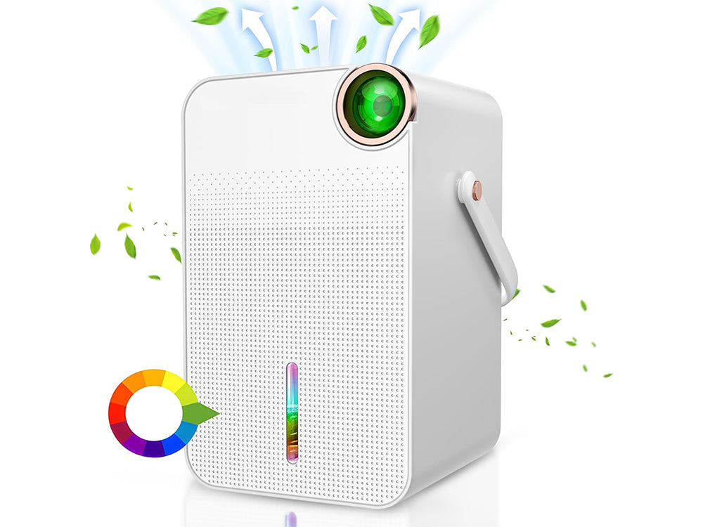 Portable Dehumidifier