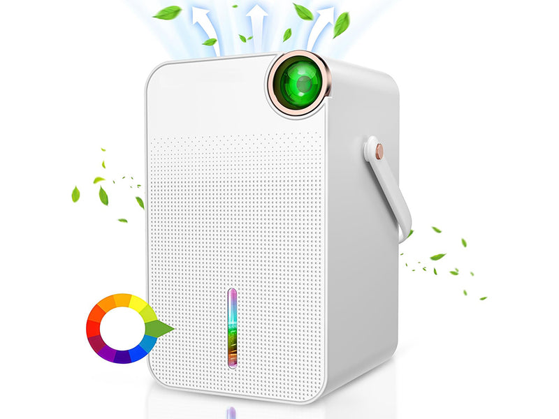 Portable Dehumidifier