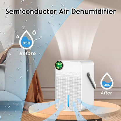 Portable Dehumidifier