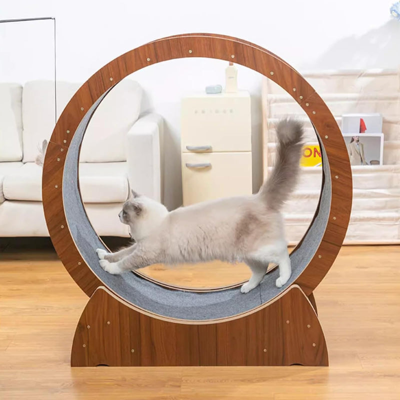 Cat Exercise Wheel