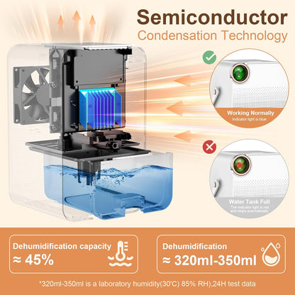 Portable Dehumidifier