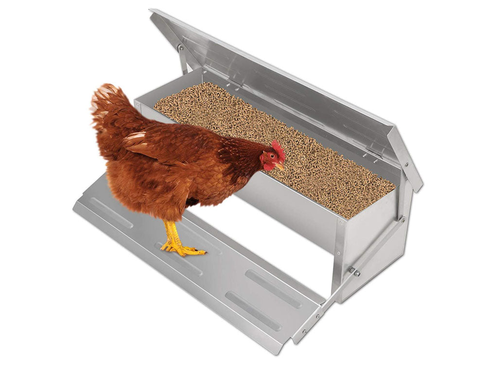 Chicken Feeder