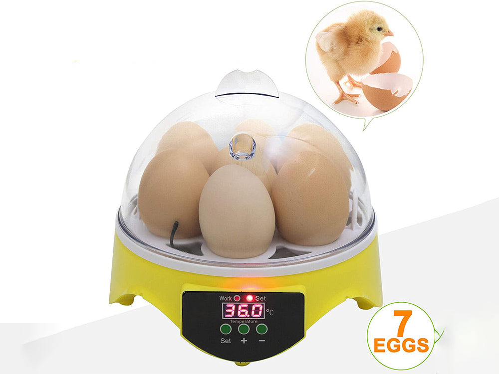 Egg Incubator