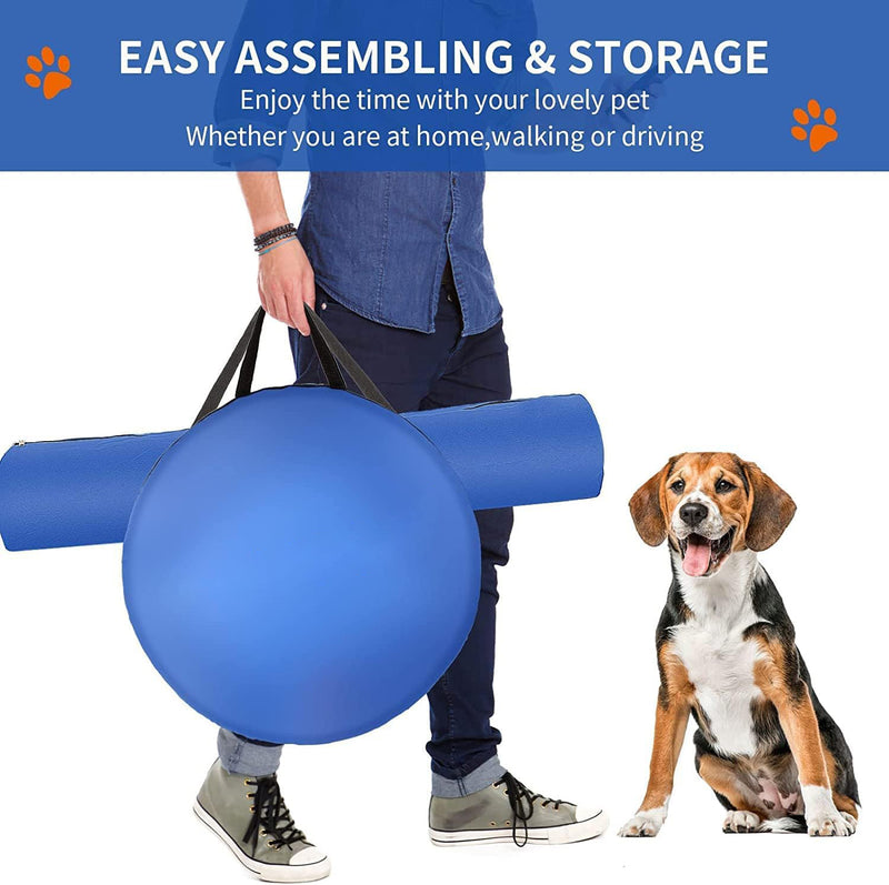 Dog Agility Equipment