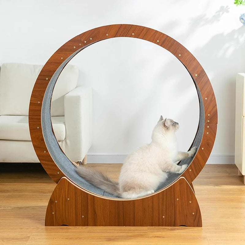 Cat Exercise Wheel