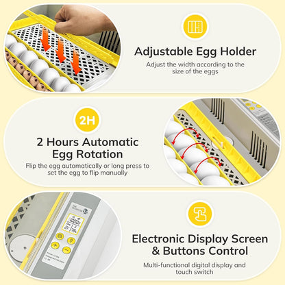 Egg Incubator Hatcher 36-120 Egg