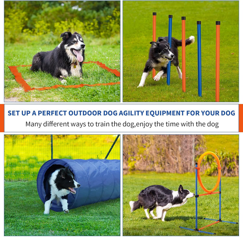 Dog Agility Equipment