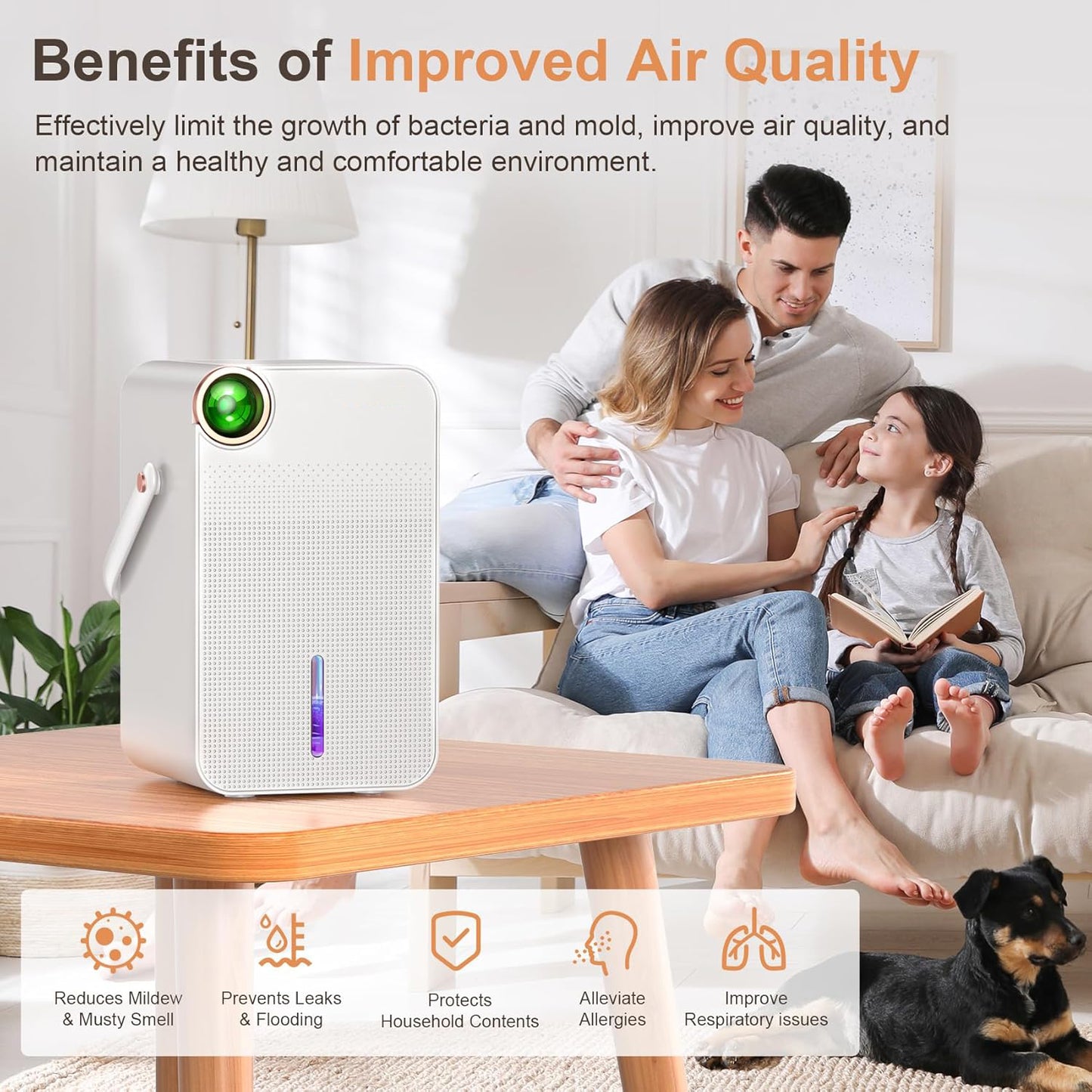 Portable Dehumidifier