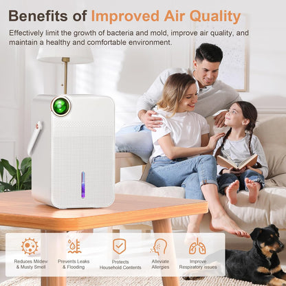 Portable Dehumidifier