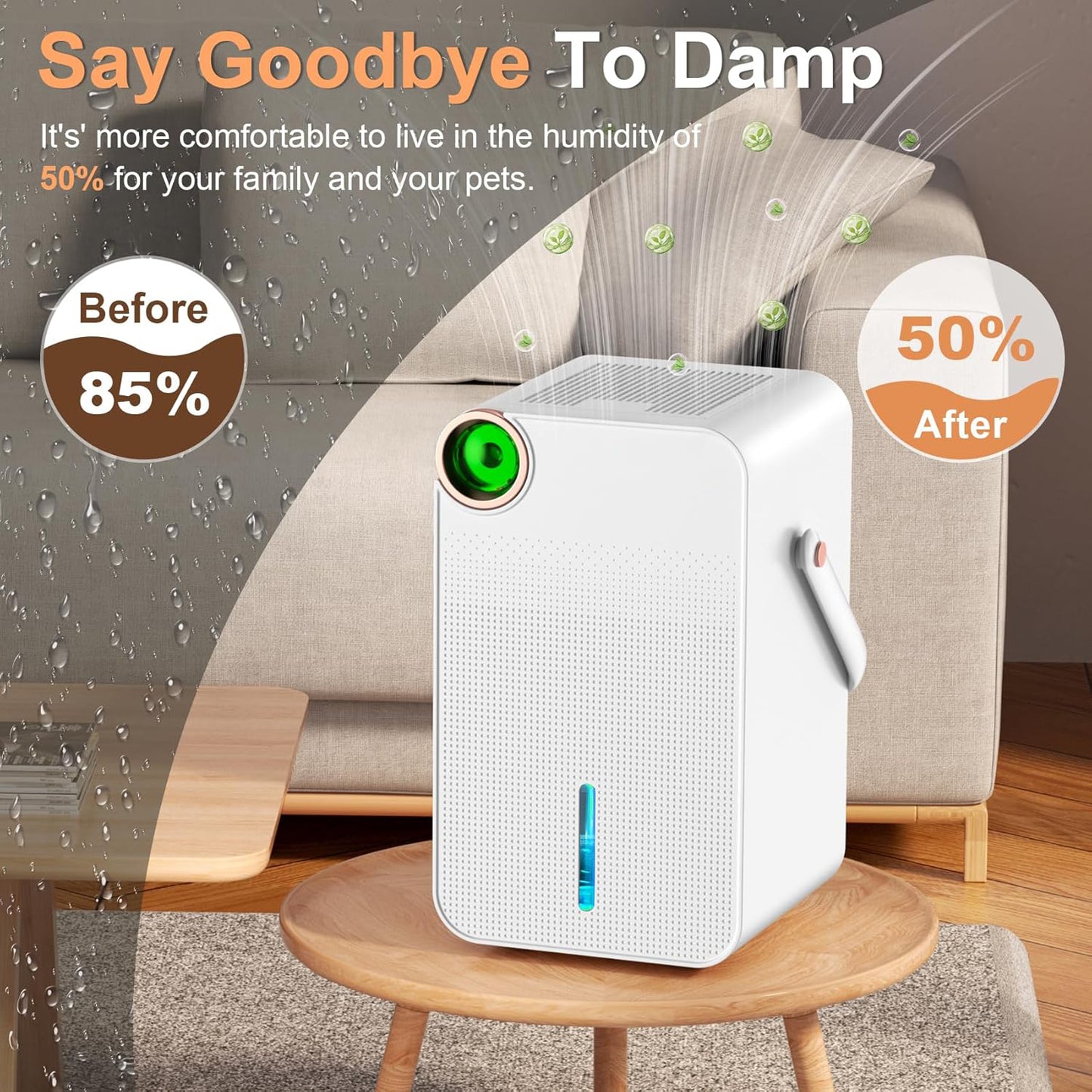 Portable Dehumidifier
