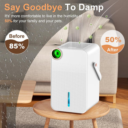 Portable Dehumidifier