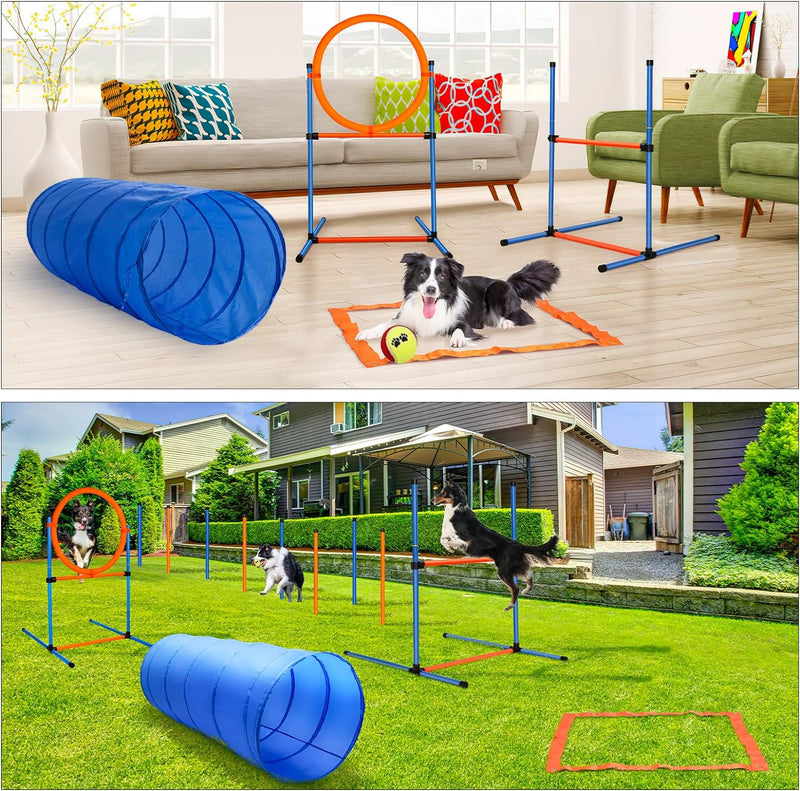 Dog Agility Equipment