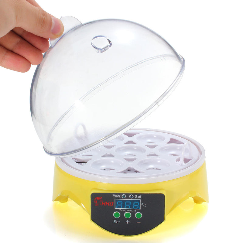 Egg Incubator