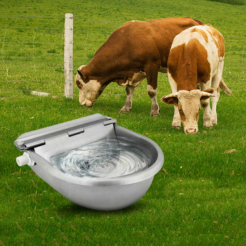 Automatic Drinking Bowl Auto Fill Water Trough Bowl