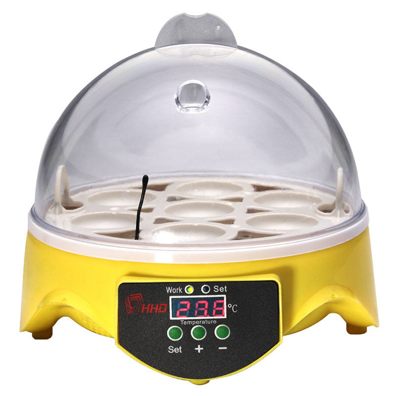 Egg incubator hatcher showing clear window and 7 egg capacity