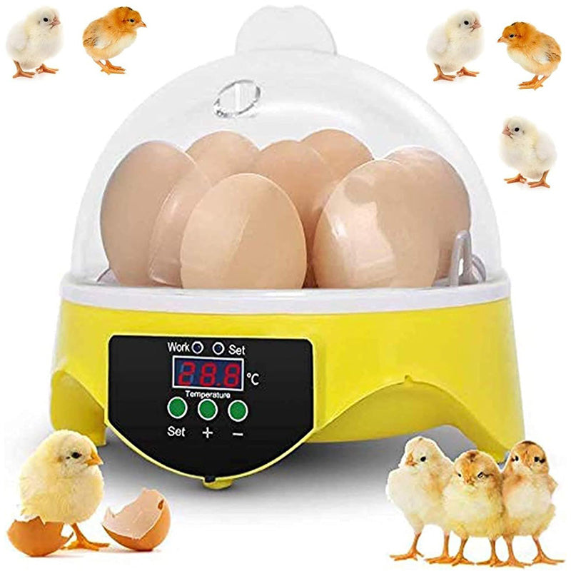 Egg Incubator