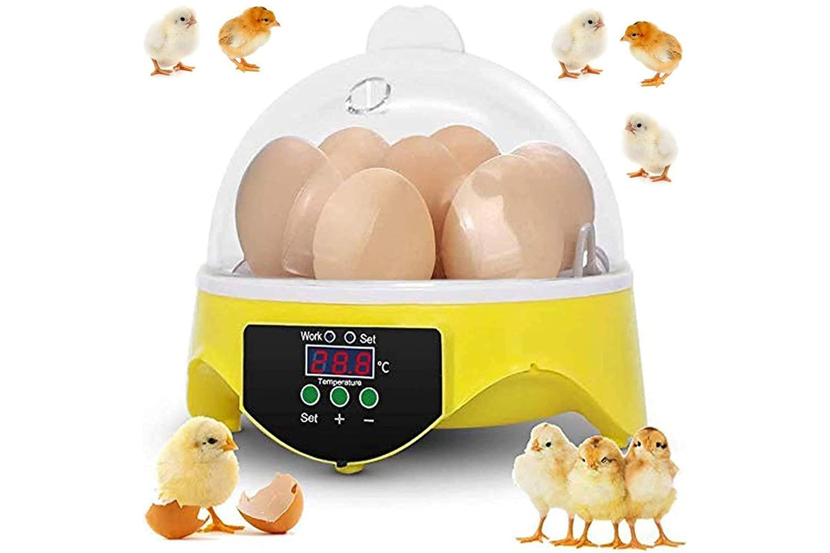 Close up of digital display on egg incubator hatcher
